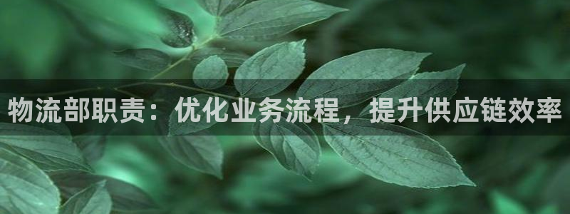 28圈加拿大走势：物流部职责：优化业