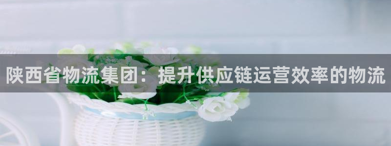 28圈加拿大能提现吗