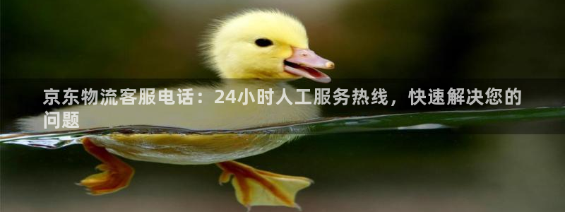 28圈app怎么注销