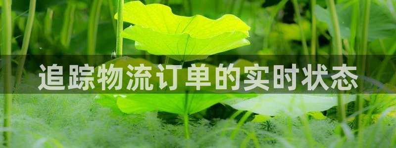 28圈注册网站多少钱一个：追踪物流订