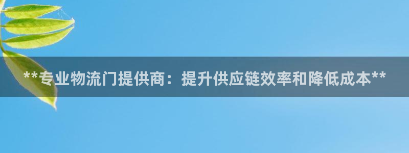 28圈官方平台：**专业物流门提供商