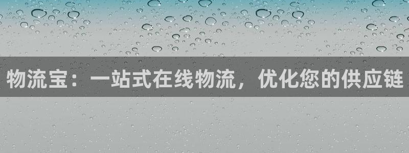 28圈游戏官网入口：物流宝：一站式在